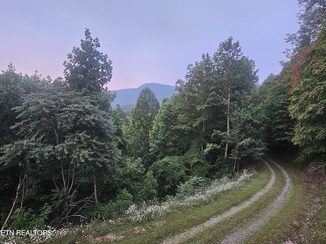 199 Pear Tree Way, Del Rio, TN 37727 - view of mountain backdrop with a forest