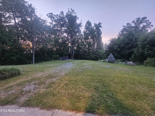 199 Pear Tree Way, Del Rio, TN 37727 - view of yard
