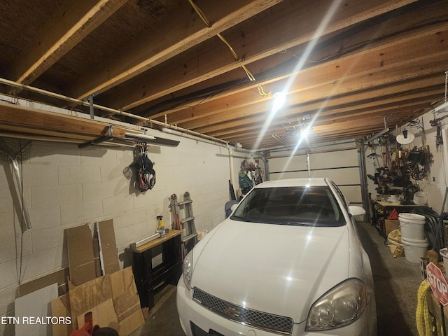 199 Pear Tree Way, Del Rio, TN 37727 - view of garage