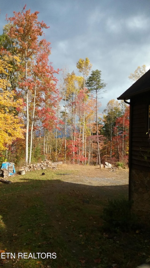 199 Pear Tree Way, Del Rio, TN 37727 - view of green lawn