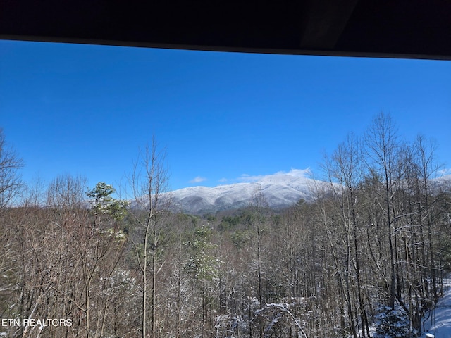 199 Pear Tree Way, Del Rio, TN 37727 - view of mountain backdrop with a forest