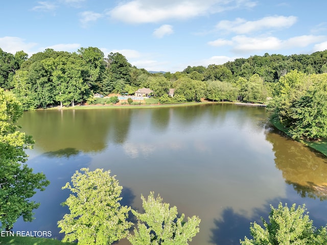 2808 Green Summers Rd, Knoxville, TN 37938 - photo 50