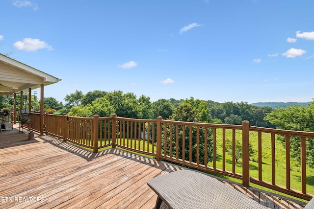 3930 Settlers Trl, Kodak, TN 37764 - view of deck