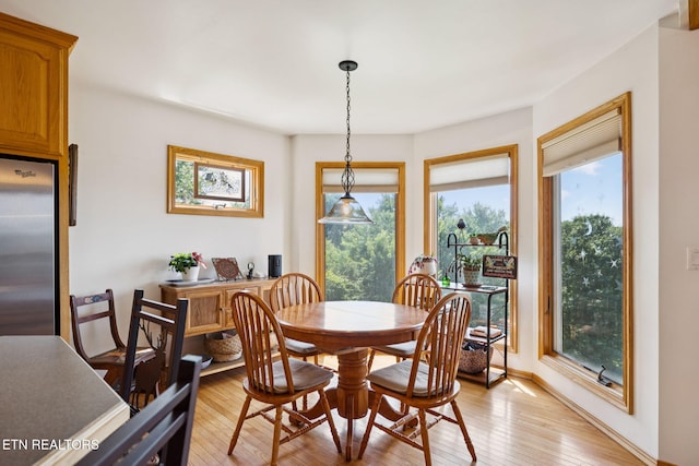 3930 Settlers Trl, Kodak, TN 37764 - dining room with plenty of natural light and light wood-style floors