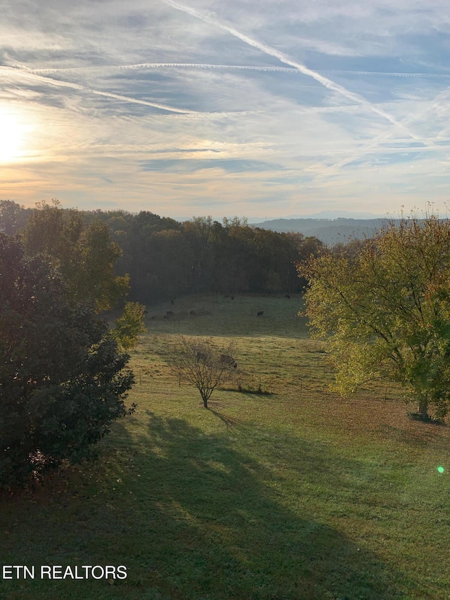 3930 Settlers Trl, Kodak, TN 37764 - mountain view