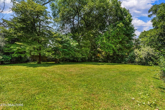 5205 Wild Cherry Ln, Knoxville, TN 37918 - photo 7