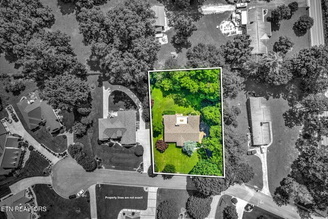 5205 Wild Cherry Ln, Knoxville, TN 37918 - photo 8