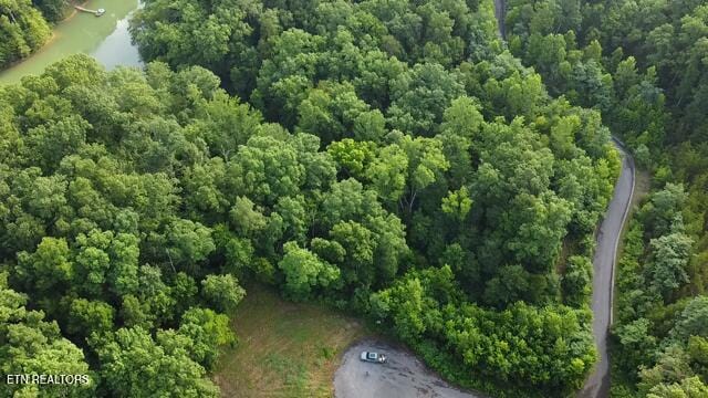 LOT9 Woodland Creek Dr, Dandridge, TN 37725 - photo 1