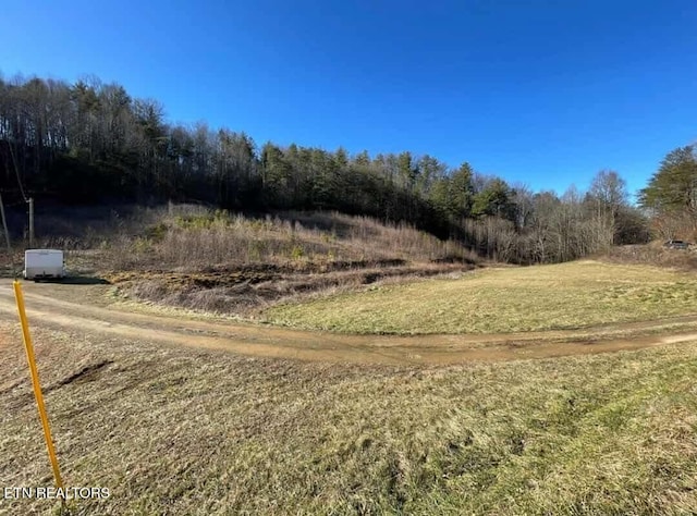 1622 Blue Mill Rd, Del Rio, TN 37727