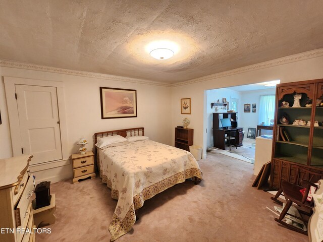 5417 Jacksboro Pike, Knoxville, TN 37918 - photo 40