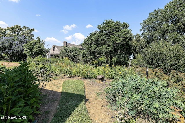 983 Point Harbour Dr, Lenoir City, TN 37772 - photo 43