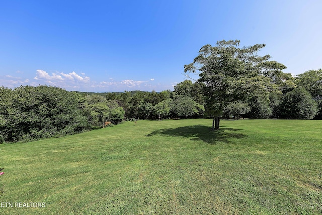 983 Point Harbour Dr, Lenoir City, TN 37772 - photo 39