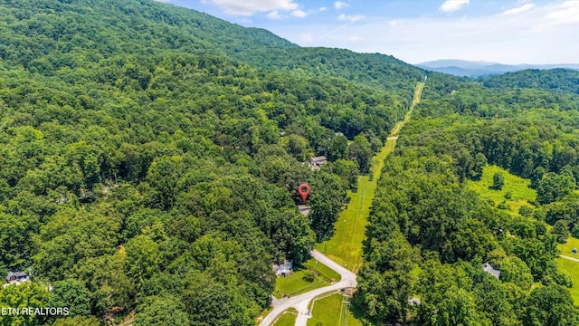 717 Renfro Rd, Harriman, TN 37748 - photo 38
