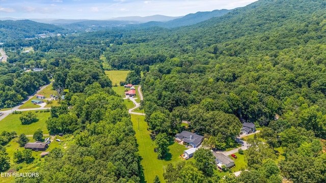 717 Renfro Rd, Harriman, TN 37748 - photo 39