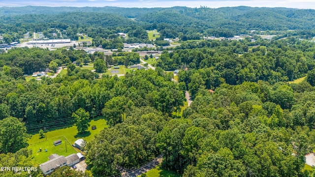 717 Renfro Rd, Harriman, TN 37748 - photo 40