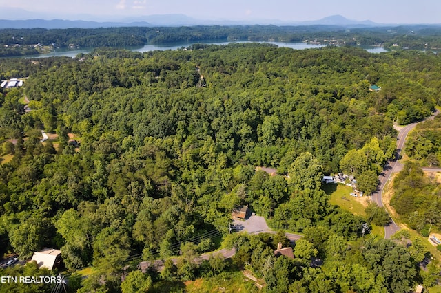 2607 Windfall Estates Dr, Sevierville, TN 37876 - photo 8