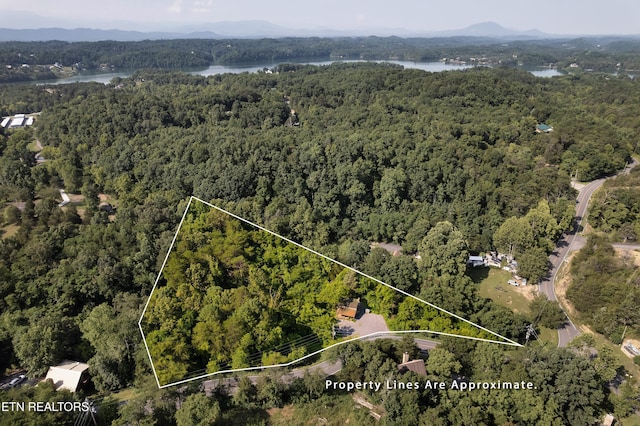 2607 Windfall Estates Dr, Sevierville, TN 37876 - photo 1