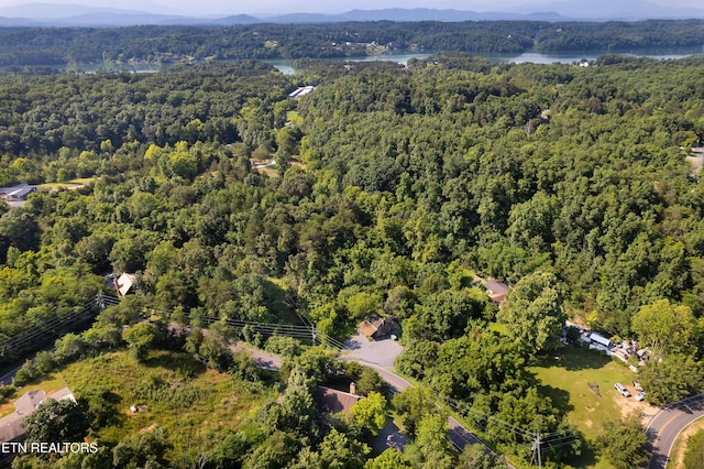 2607 Windfall Estates Dr, Sevierville, TN 37876 - photo 5