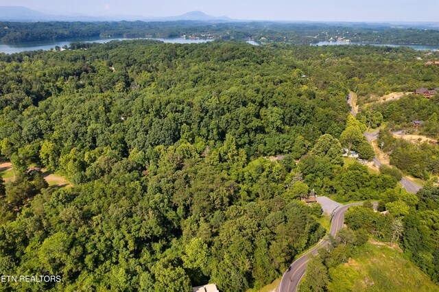 2607 Windfall Estates Dr, Sevierville, TN 37876 - photo 9