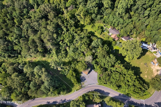 2607 Windfall Estates Dr, Sevierville, TN 37876 - photo 4