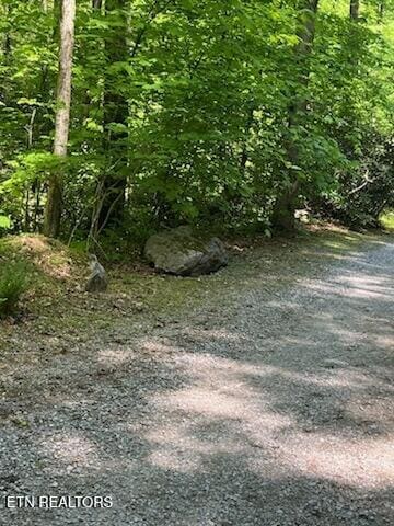 Reagan Springs Rd, Seymour, TN 37865 - photo 2
