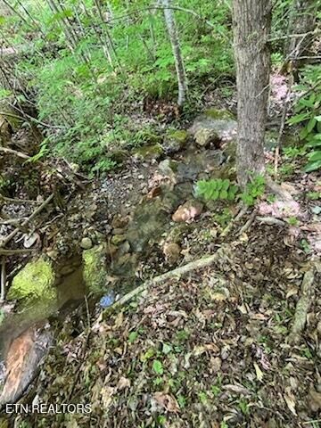 Reagan Springs Rd, Seymour, TN 37865 - photo 3