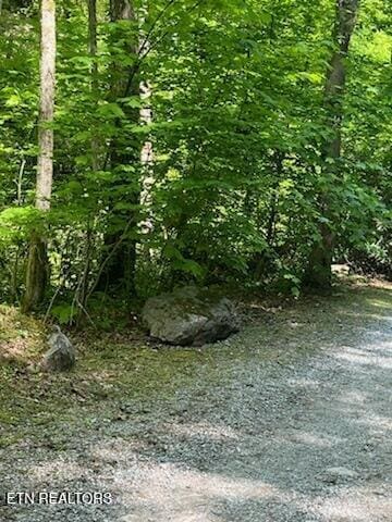 Reagan Springs Rd, Seymour, TN 37865 - photo 4