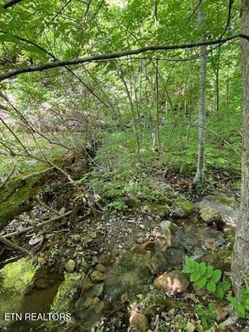 Reagan Springs Rd, Seymour, TN 37865 - photo 5