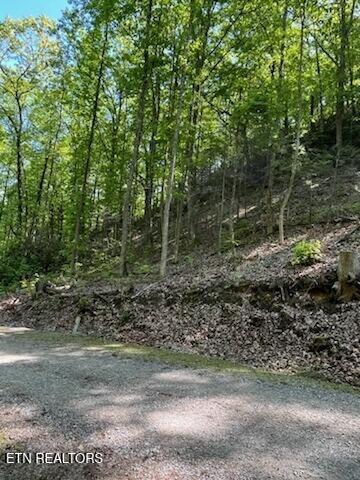 Reagan Springs Rd, Seymour, TN 37865 - photo 7
