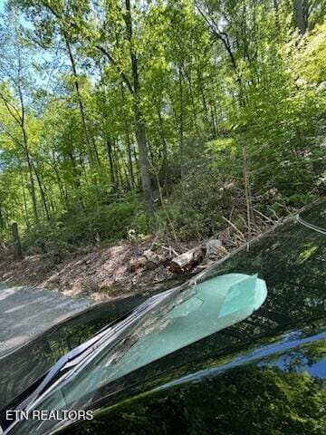 Reagan Springs Rd, Seymour, TN 37865 - photo 8
