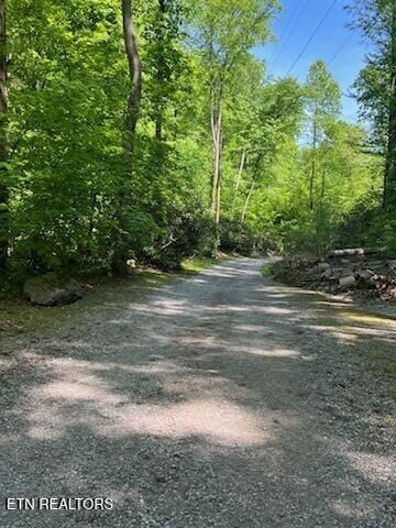 Reagan Springs Rd, Seymour, TN 37865 - photo 9