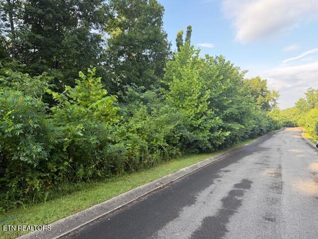 LOT16 Woodland Crk, Dandridge, TN 37725 - photo 1