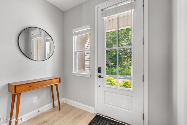 7431 Thomas Ln, Knoxville, TN 37918 - photo 4