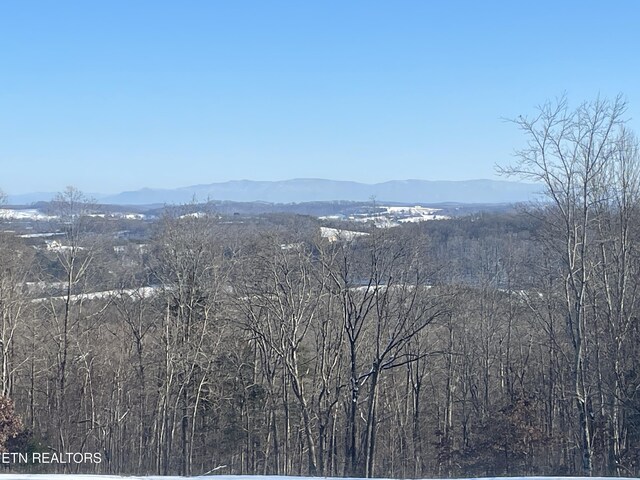 3493 Foshee Rd, Philadelphia, TN 37846