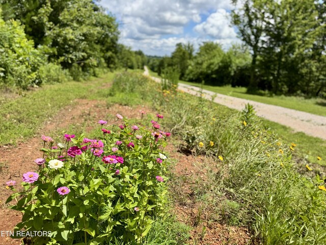 3493 Foshee Rd, Philadelphia, TN 37846