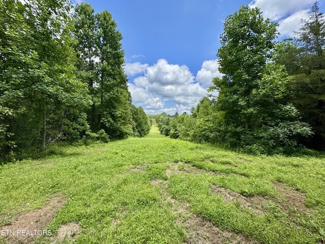 3493 Foshee Rd, Philadelphia, TN 37846