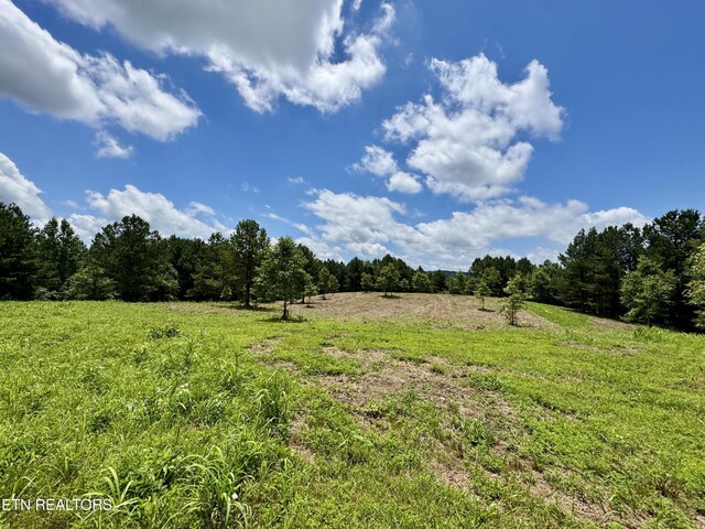 3493 Foshee Rd, Philadelphia, TN 37846
