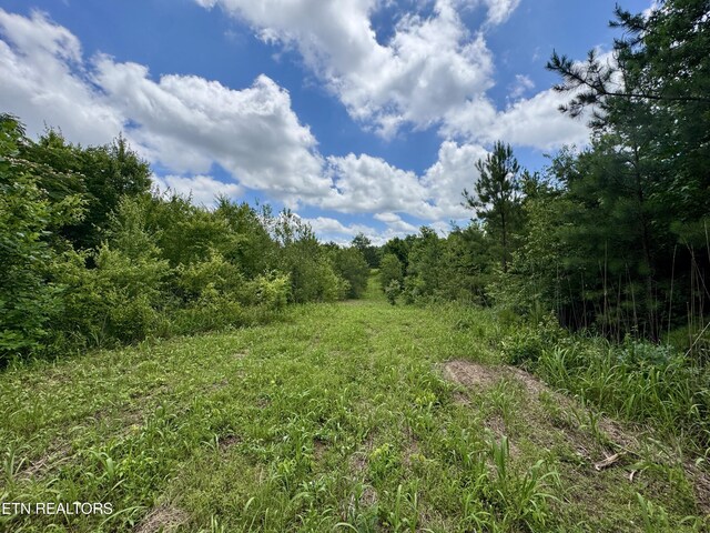 3493 Foshee Rd, Philadelphia, TN 37846