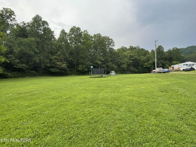 1602 Belltown Rd, Tellico Plains, TN 37385 - photo 23
