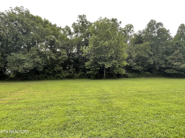 1602 Belltown Rd, Tellico Plains, TN 37385 - photo 24