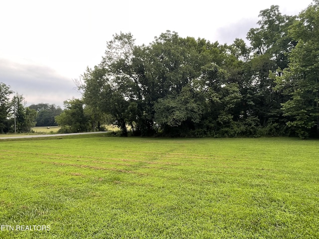 1602 Belltown Rd, Tellico Plains, TN 37385 - photo 25