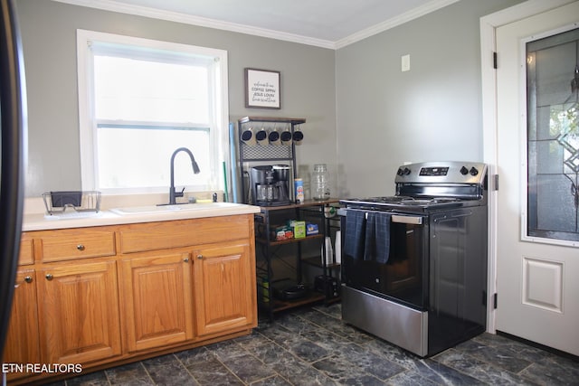 1210 Frank Campbell Rd, Jamestown, TN 38556 - kitchen featuring stainless steel electric stove, ornamental molding, plenty of natural light, and brown cabinetry