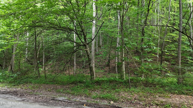 LOT13/14 Clifton Cemetery Rd, Spring City, TN 37381 - photo 2
