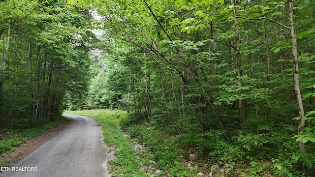 LOT13/14 Clifton Cemetery Rd, Spring City, TN 37381 - photo 3