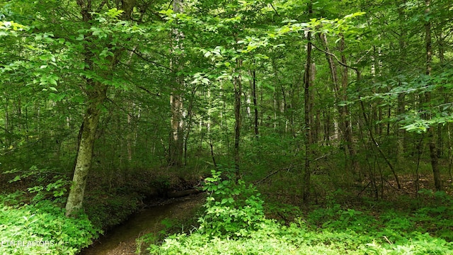 LOT13/14 Clifton Cemetery Rd, Spring City, TN 37381 - photo 4