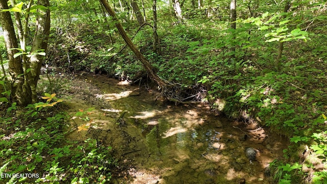 LOT13/14 Clifton Cemetery Rd, Spring City, TN 37381 - photo 8