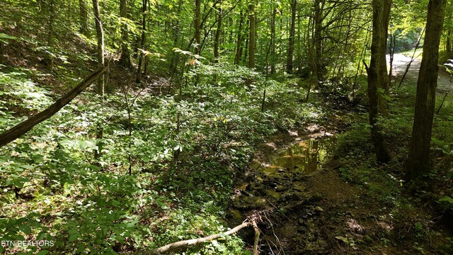 LOT13/14 Clifton Cemetery Rd, Spring City, TN 37381 - photo 9