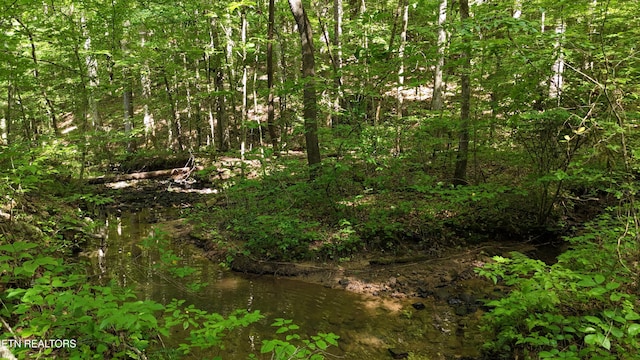 LOT13/14 Clifton Cemetery Rd, Spring City, TN 37381 - photo 12