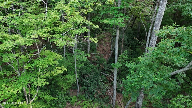 LOT13/14 Clifton Cemetery Rd, Spring City, TN 37381 - photo 14