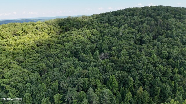 LOT13/14 Clifton Cemetery Rd, Spring City, TN 37381 - photo 15